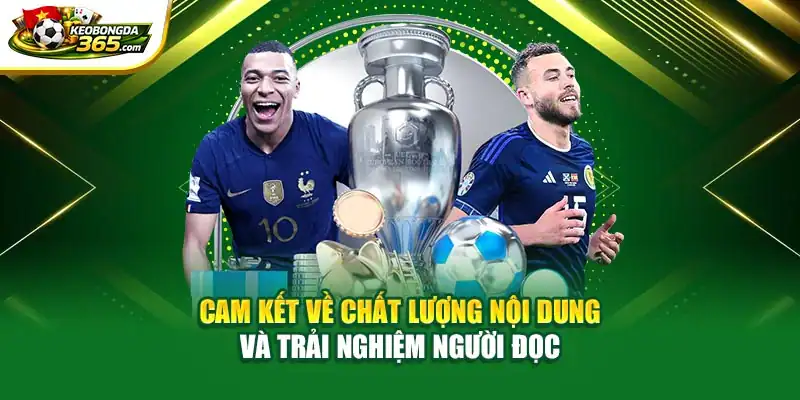 Cam kết về chất lượng nội dung và trải nghiệm người đọc