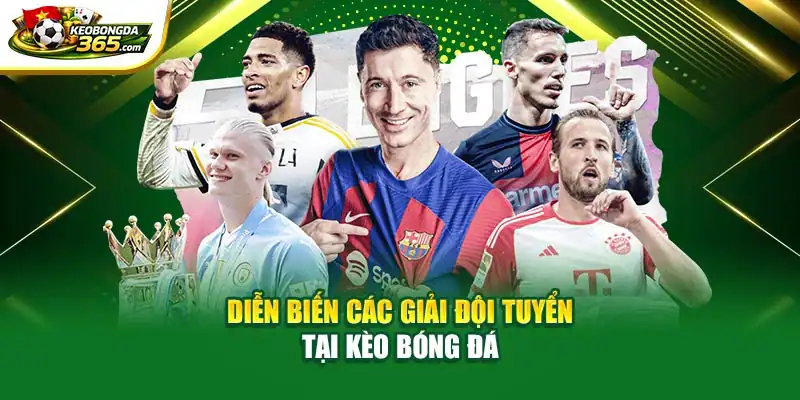 Diễn biến các giải đội tuyển tại Kèo Bóng Đá