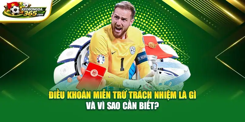 Điều khoản miễn trừ trách nhiệm là gì và vì sao cần biết?