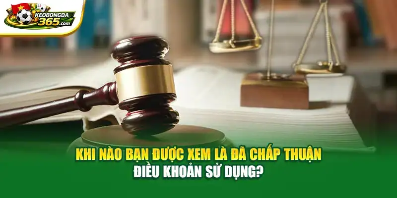 Khi nào bạn được xem là đã chấp thuận điều khoản sử dụng?