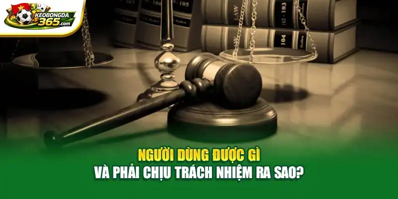 Người dùng được gì và phải chịu trách nhiệm ra sao?