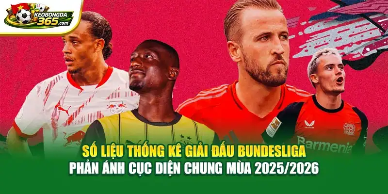 Số liệu thống kê giải đấu Bundesliga phản ánh cục diện chung mùa 2025/2026