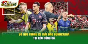 Số Liệu Thống Kê Giải Đấu Bundesliga Tại Kèo Bóng Đá