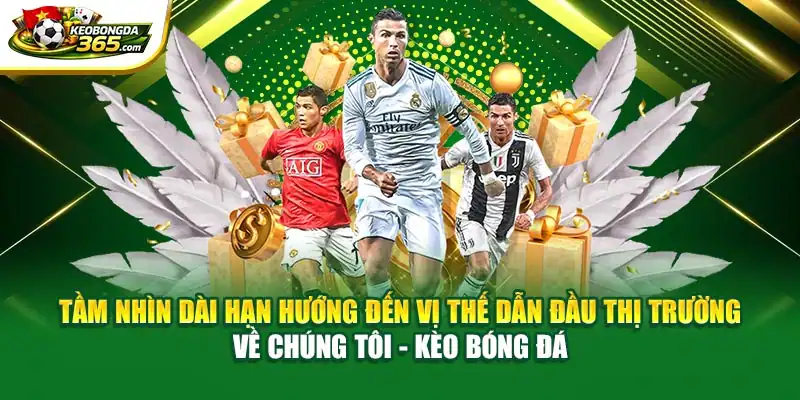 Tầm nhìn dài hạn hướng đến vị thế dẫn đầu thị trường về chúng tôi - Kèo bóng đá