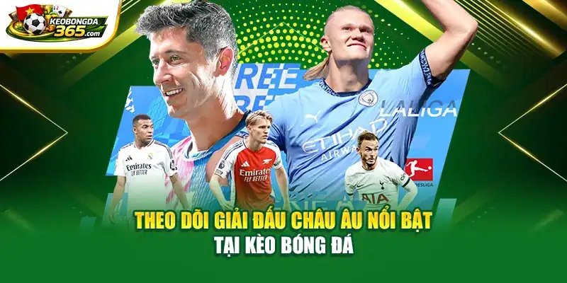 Theo dõi giải đấu châu Âu nổi bật tại Kèo Bóng Đá